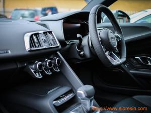 Leather Finishing and Automotive Interior Solutions