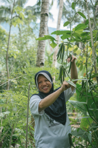 Image shows a woman in Indonesia tending to crops.