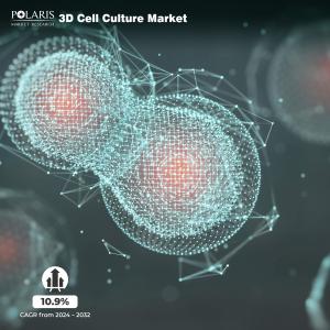 3D Cell Culture Market