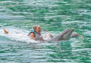 Visitante nadando con un Delfin en Yaaman