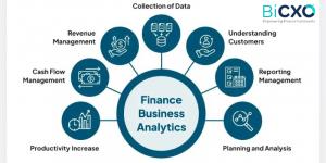 finance and business analytics