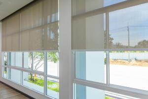 modern Roller Shades Altadena