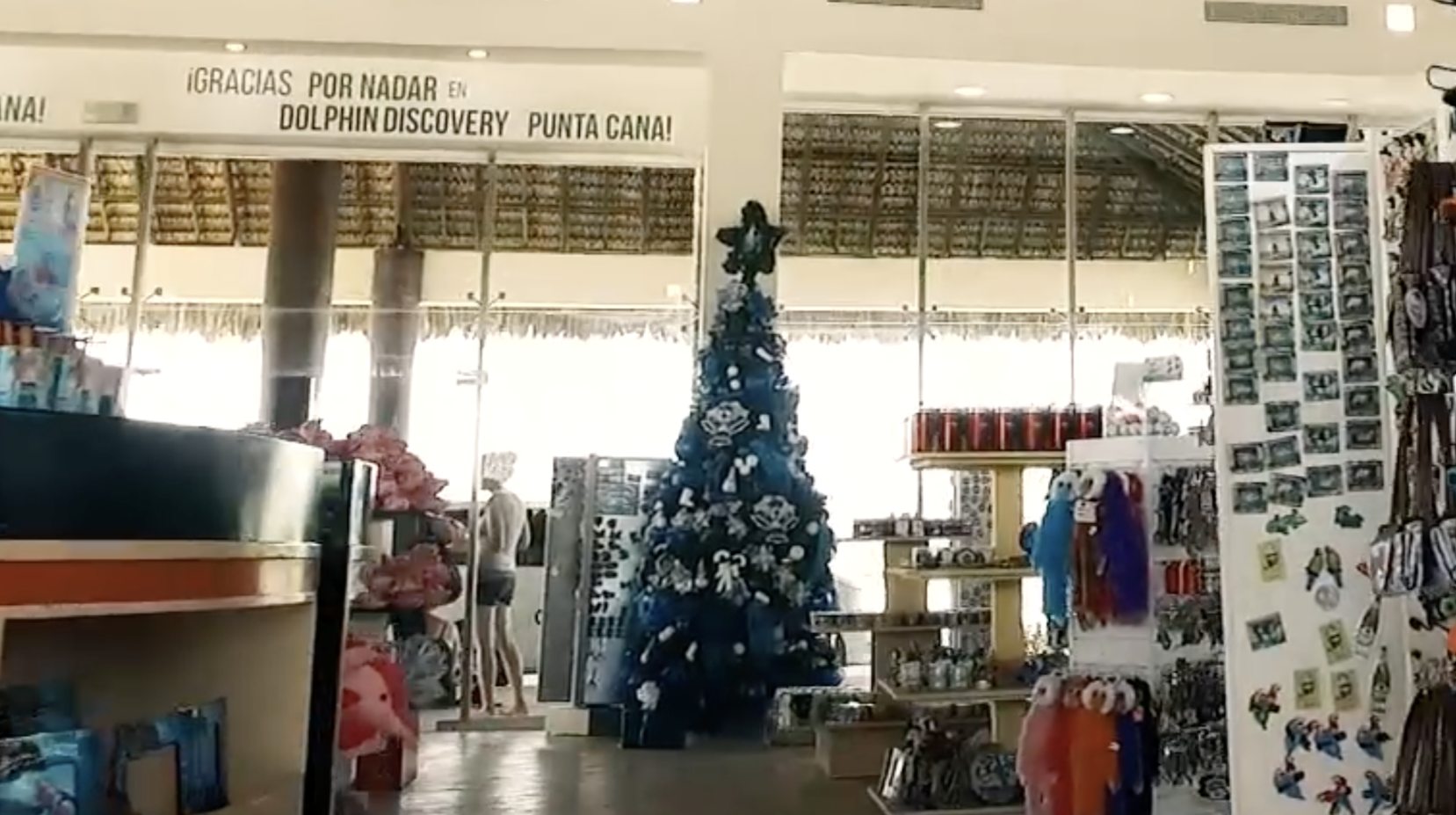 Arbolito de navidad en tienda punta cana