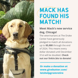 Mack found his match! Meet, Chicago