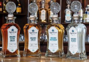 AgaveLuz Organic Tequila bottles – Blanco, Reposado, Añejo, and Extra Añejo, made with organic blue agave and natural water, showcasing purity and sustainability.