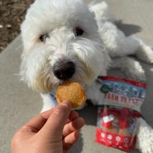 Crunchy Chicken Chips for the Holidays