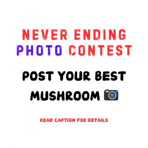 post your best mushroom picture on instagram for a chance to win free coffee for one year