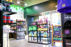 Inside a retail store named Slimeatory that sells slime, plush toys, and more. The photo contains racks of the products as well as a sale sign.