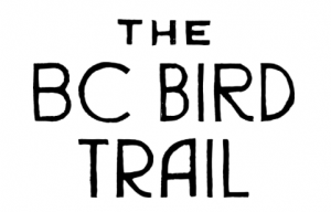 BC Bird Trail logo on white background