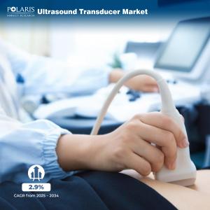  Ultrasound Transducer Market