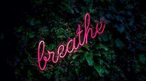 Neon sign reading "breathe" in pink, surrounded by green leaves, symbolizing relaxation and mindfulness.