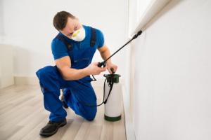 bed bug exterminator in Montreal