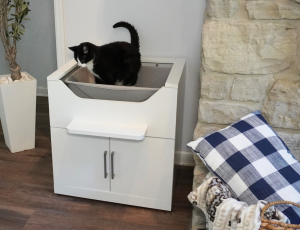 A cat comfortably perches on the 18-inch elevated LoftyLoo® litter box, featuring a recessed pan and compatibility with pet stairs or ramps for easy access and safety.