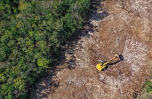 Para hacer frente a la deforestación mundial, la UE promulgó el Reglamento de la Unión Europea sobre deforestación