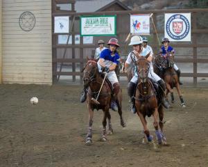 two arena polo players pursue an airborne ball on horseback