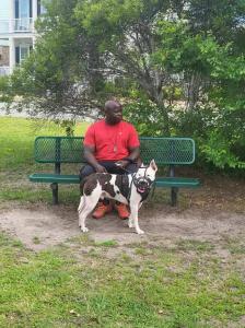  Don White of Tru Mission K9s works with a brown-spotted white Bull Terrier wearing a black silicone muzzle. His tailored training methods help rescue dogs build confidence and prepare for their forever homes.