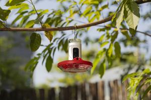 New Birdfy Hum Feeder