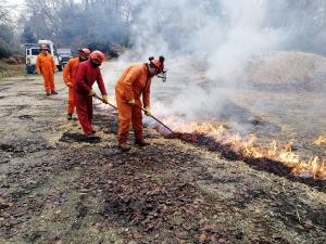  osha wildfire smoke training