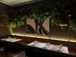 Image shows accent wall and seating at ELDR - The intimate space seats 36 and offers daily happy hour menus from 5-6pm and 9-10pm. True to the ethos of other General Harvest Restaurants, the new concept embraces sustainable, fresh, local, and seasonal ing