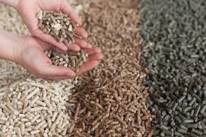 Animal Feed Enzymes Market