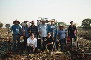 Tequila cabal, jimadores, in plot El Crucero ll standing proudly