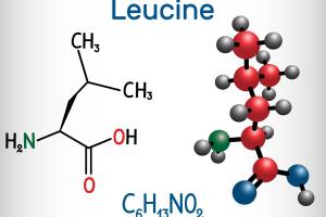 Amino Acid Based Formula Market