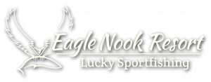 Eagle Nook logo on white background