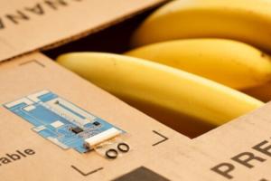 Smart Food Packaging Market