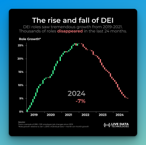 Rise and Fall of DEI