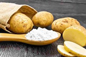 Potato Starch Market