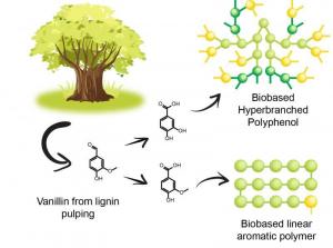 Bio-based Aromatics Market