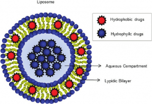 Liposome Drug Delivery Market