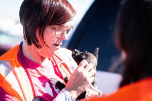 Dr. Rusch at a partner vaccine clinic wearing a safety vest and cooing at a cute puppy.