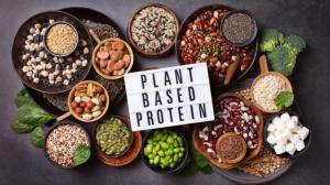 Plant-based Protein Market