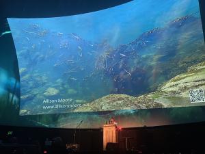  Allison Moore presenting her pitch for the eventual winning fulldome film "Under The Kelp Forests"