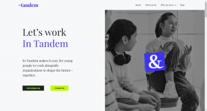 In-Tandem.org - Website Preview