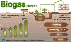 Biogas Market