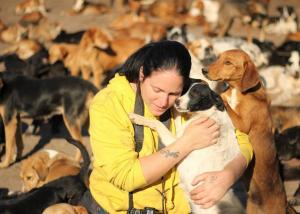 Rescued dogs receive attention at a dog sanctuary in Serbia.