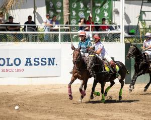 two arena polo players on horseback race for the ball while spectators watch