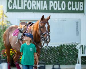 a young girl and a horse stand ready for the arena polo game