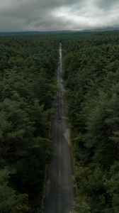 A drone / aerial photograph of Danny walking down a long road on the countryside of Japan near the "Suicide Forest", heading towards Mount Fuji