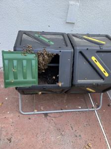 Bees flying around an open green compost bin with visible honeycomb structures inside one compartment, set in an outdoor patio area with a stucco wall in the background.