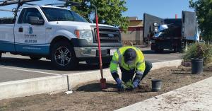 City Wide provides commercial properties with full-facility support and solutions including landscape maintenance and enhancements.