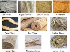 Global Natural Fiber Composites Industry