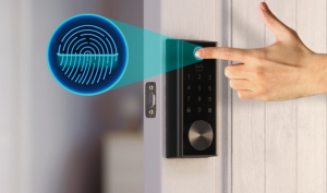 Global Smart Locks Industry