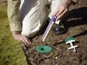 termite control