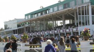 A phot of the gate at Tampa Downs