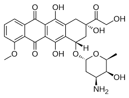 Doxorubicin