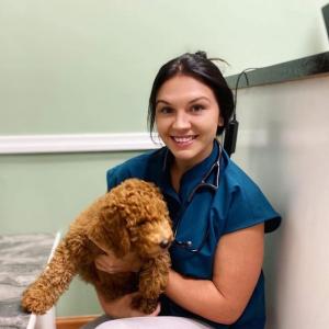 Dr. Mackenzie Treece, at her practice of in home pet euthanasia in Knoxville, TN and surrounding areas