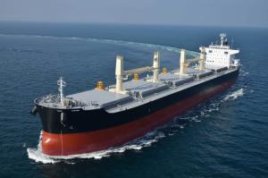 Dry Bulk Shipping Market